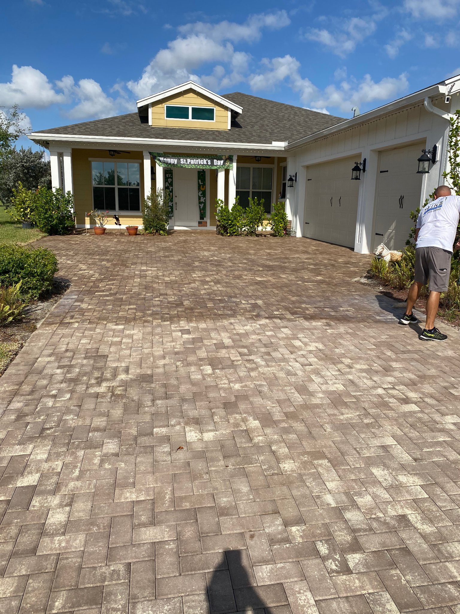 Paver Driveway Before Clean
