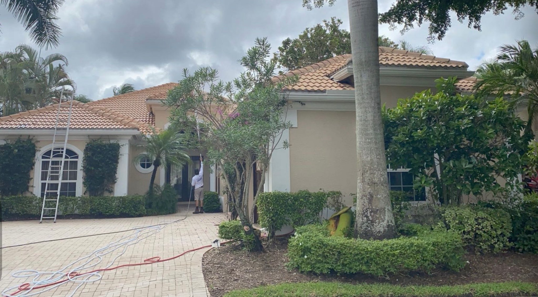 Roof Cleaning in Action